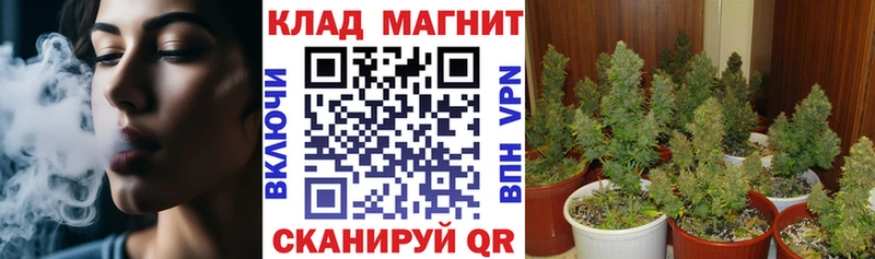 Магазин наркотиков Туран kraken онион  Амфетамин  Галлюциногенные грибы  A PVP  Меф  Гашиш  Героин 