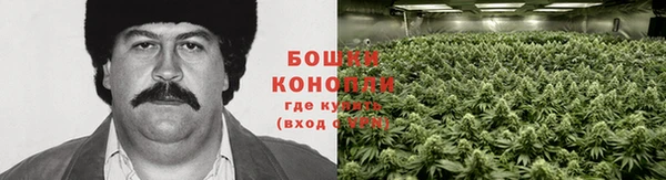 меф Дмитров