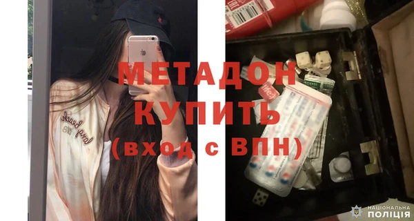 PSILOCYBIN Дмитриев