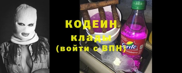 PSILOCYBIN Дмитриев