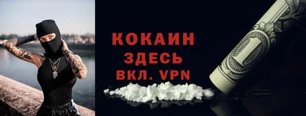 PSILOCYBIN Дмитриев