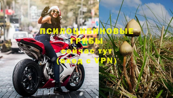 PSILOCYBIN Дмитриев