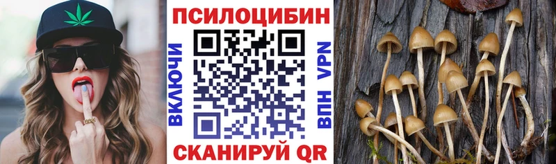 продажа наркотиков  Туран  Псилоцибиновые грибы Cubensis 