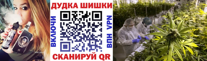 Шишки марихуана планчик Туран